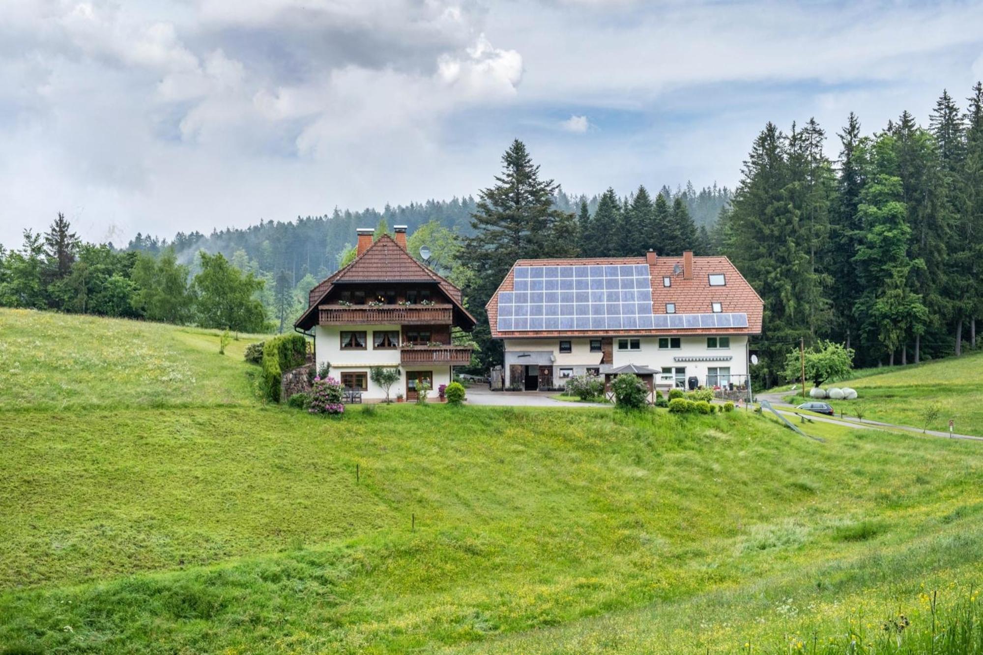 Schreinerhaeusle Naehe Titisee Himmelreich Esterno foto